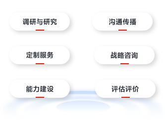 调研与研究、沟通传播、定制服务、战略咨询、能力建设、评估评价